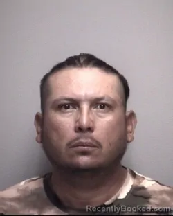 Mugshot of DANIEL . VELASQUEZ GONZALEZ booked in Galveston County, Texas on April 25, 2026