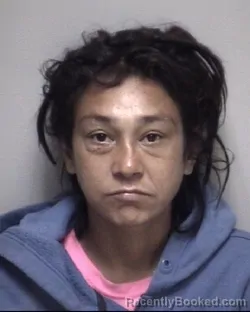 Mugshot of VERONICA LYNN SERNA booked in Galveston County, Texas on April 28, 2026