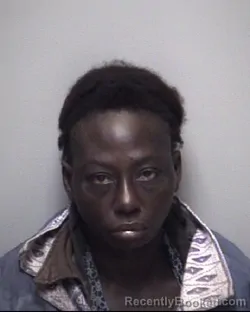 Mugshot of LASHAWNDA MARIE BROOKS booked in Galveston County, Texas on April 28, 2026