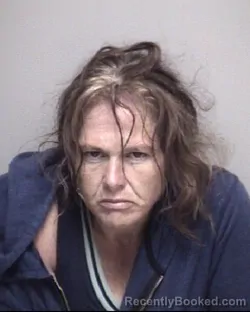 Mugshot of MICHELLE ANNE HARDER booked in Galveston County, Texas on May 2, 2026