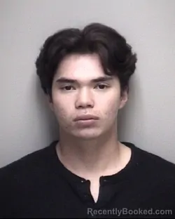 Mugshot of DILLON MINH BLANTON booked in Galveston County, Texas on May 2, 2026