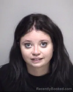 Mugshot of LILY MICHELLE LINSEISEN booked in Galveston County, Texas on May 2, 2026