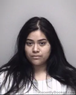 Mugshot of MARISOL &nbsp; HERNANDEZ booked in Galveston County, Texas on May 3, 2026