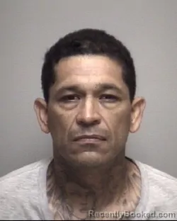 Mugshot of FRANK &nbsp; RODRIGUEZ booked in Galveston County, Texas on May 3, 2026