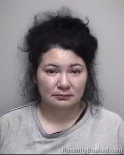 Mugshot of STEPHANIE ANN RENOVATO booked in Galveston County, Texas on May 4, 2026