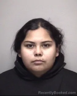 Mugshot of GRECIA &nbsp; ALEJO CASTILLO booked in Galveston County, Texas on May 5, 2026