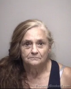Mugshot of RUTH ELIZABETH HARRIS booked in Galveston County, Texas on May 5, 2026