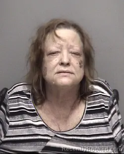 Mugshot of COLLEEN DIANE DEVINE booked in Galveston County, Texas on May 6, 2026