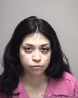 Mugshot of ERIN SYDNEY CORTEZ ANCISO booked in Galveston County, Texas on May 8, 2026