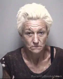 Mugshot of SHANNON JEANETTE JARVIS booked in Galveston County, Texas on May 12, 2026