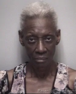 Mugshot of MICHELE DENISE COLLINS booked in Galveston County, Texas on May 13, 2026
