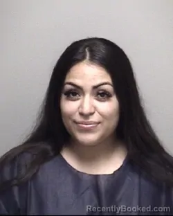 Mugshot of GIOVANNA DEL ROSARIO VENTURA booked in Galveston County, Texas on May 14, 2026