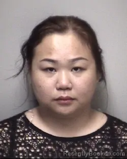 Mugshot of ANH LINH LU booked in Galveston County, Texas on May 15, 2026