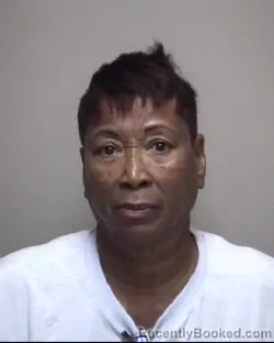 Mugshot of GAIL DENISE ALLEN booked in Galveston County, Texas on May 17, 2026