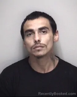 Mugshot of MARCO ALEX CASTELLANOS booked in Galveston County, Texas on June 24, 2026