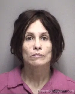 Mugshot of VIRGINIA GRACE MAYS booked in Galveston County, Texas on May 20, 2026