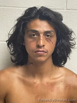 Booking photo from Galveston County, Texas