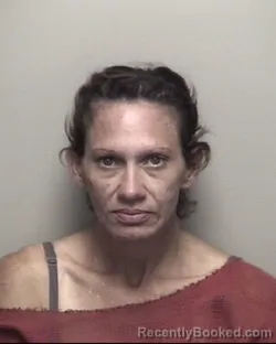 Mugshot of KRISTY LYNN CANNON booked in Galveston County, Texas on June 22, 2026