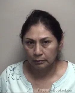 Mugshot of FLAVIA MORALES LOPEZ TELLO booked in Galveston County, Texas on June 26, 2026