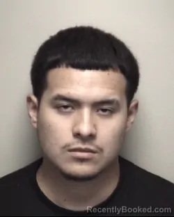 Mugshot of ALFREDO &nbsp; RAMOS booked in Galveston County, Texas on July 2, 2026