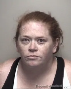Mugshot of WENDY RENEE DAVIS booked in Galveston County, Texas on July 3, 2026
