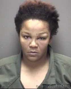 Mugshot of KARLA DENISE BIAGAS booked in Galveston County, Texas on July 4, 2026