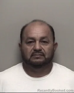 Mugshot of SONNIS Y CASTRO CASTILLO booked in Galveston County, Texas on July 4, 2026
