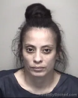 Mugshot of LYDIA . VILLARREAL booked in Galveston County, Texas on July 4, 2026
