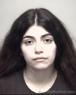Mugshot of INEZ PAULA GOMEZ booked in Galveston County, Texas on July 5, 2026