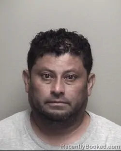 Mugshot of KELVIN ANTONIO CRUZ HERRERA booked in Galveston County, Texas on July 8, 2026