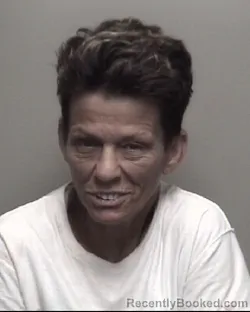 Mugshot of THERESA ANN ROBINSON booked in Galveston County, Texas on July 9, 2026
