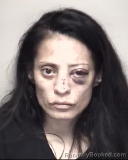 Mugshot of LYDIA . VILLARREAL booked in Galveston County, Texas on July 9, 2026