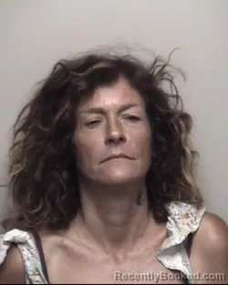 Mugshot of HEATHER LISA DUTASSY booked in Galveston County, Texas on July 9, 2026