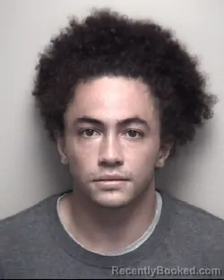 Mugshot of KENDALL ALEXANDER LINBRUGGER booked in Galveston County, Texas on July 10, 2026