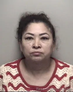Mugshot of YESENIA M ROMERO booked in Galveston County, Texas on July 11, 2026