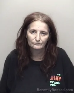 Mugshot of LARESSA JEAN DINEEN booked in Galveston County, Texas on July 15, 2026