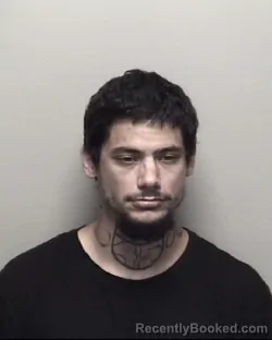 Mugshot of CAMERON MICHAEL HAMIL booked in Galveston County, Texas on July 17, 2026