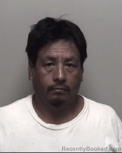 Mugshot of Mayel . Hernandez Fuentes booked in Galveston County, Texas on July 22, 2026