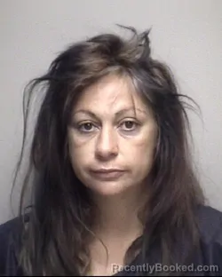 Mugshot of CHRISTINA MARIE ROMANOSKI REGINER booked in Galveston County, Texas on July 29, 2026