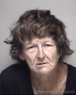 Mugshot of Rosilin Marie Beebe Ramzey booked in Galveston County, Texas on August 9, 2026