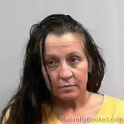 Mugshot of Christal Lashawn Adkins
