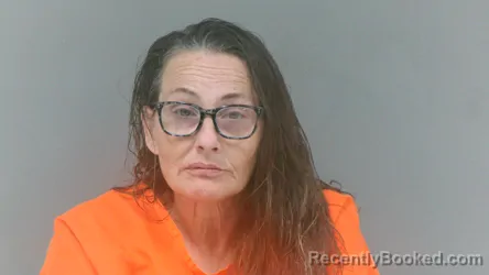 Mugshot of Gina Dawn Lycans booked in Lincoln County, West Virginia on August 2, 2026