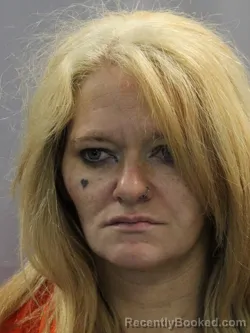 Mugshot of Kayla Ann Wiley booked in Lincoln County, West Virginia on September 24, 2026