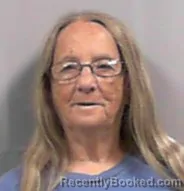 Mugshot of Rose Ann Porter booked in Lincoln County, West Virginia on August 23, 2026