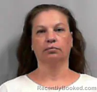 Mugshot of Sabrina Ranee Rakes booked in Lincoln County, West Virginia on August 23, 2026