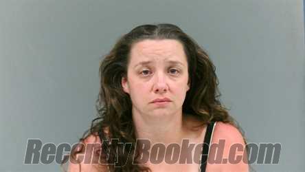 Booking photo from Logan County, West Virginia