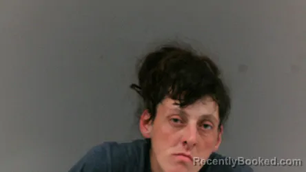 Mugshot of Alisha Jo Wiley booked in Logan County, West Virginia on June 4, 2026