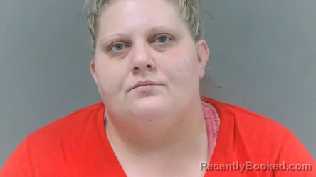 Mugshot of Alaina Lee Frye booked in Logan County, West Virginia on October 13, 2026