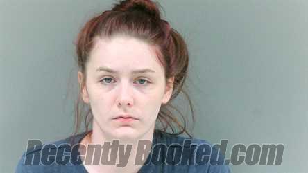 Booking photo from Logan County, West Virginia