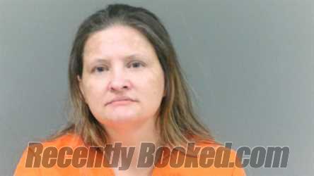 Booking photo from Logan County, West Virginia